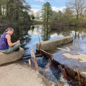 Fish count 