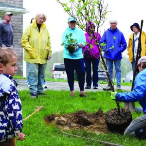 Coastal Rivers Land Steward Brad Weigel demonstrates how to plant a sapling during the 2025 Arbor Day celebration. Courtesy of Kris Christine