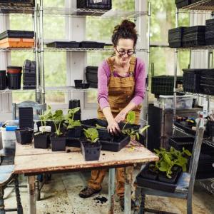 Erica Berman potting up seedlings. Michael Wilson photo