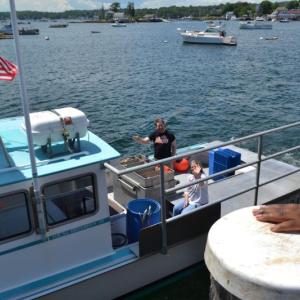 KEVIN BURNHAM/Boothbay Register
