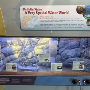 EXHIBIT 