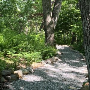 Shaded Natural Woodlands Frame the Pathways