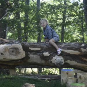 Check out the new playground at Boothbay Region Land Trust's Oak Point Farm during Field and Forest Family Fun Day July 18! Courtesy of BRLT