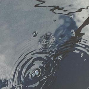 "Puddle" is among the photographs in Jannetta Jennings' August show. Courtesy of Bremen Library