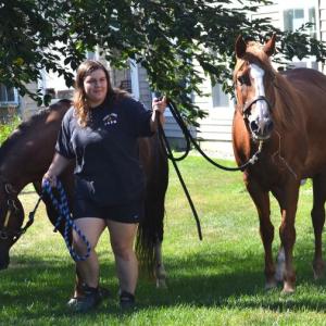 Horses