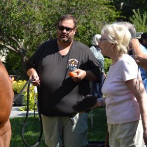Horses