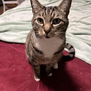 Milo 