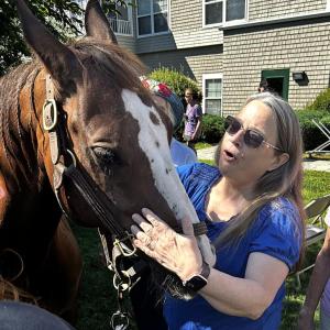 Horses