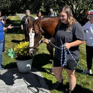 Horses