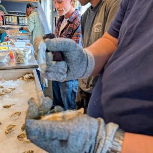 2026 Pemaquid Oyster Festival 