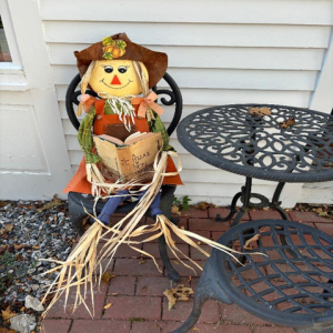 Scarecrow reading 