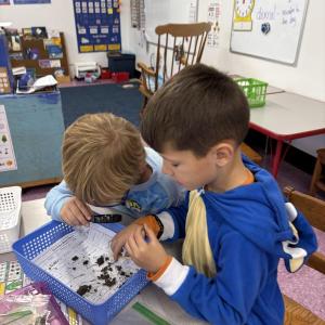 Students 