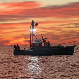Steve Edwards' front-page tuna fishing scenic in September 2025 took first place in the Weekly category. File photo