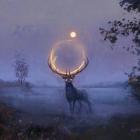 Stock Photo /unknown origin