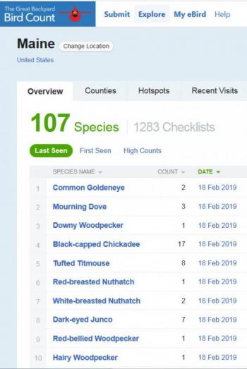 Great Backyard Bird Count 2019, GBBC 2019, Maine, #bird-column, Boothbay Registers