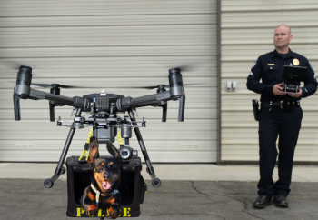 police dog, drone, drugs, dachshund, attack
