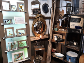 Iron Horse Antiques at Boothbay Railway Village Museum