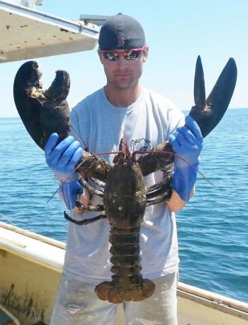 Andy Haney holds a 20-pound lobster caught off Swan's Island. The lobster was brought to the Maine State Aquarium in West Boothbay Harbor. Courtesy of Jason Joyce