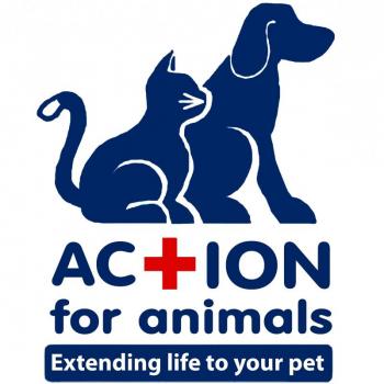 Action for Animals Maine