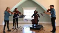 Halcyon String Quartet