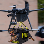 TWO SALTY DOGS, FLYING DOG, POLICE ATTACK DRONE, DACHSHUND, 
